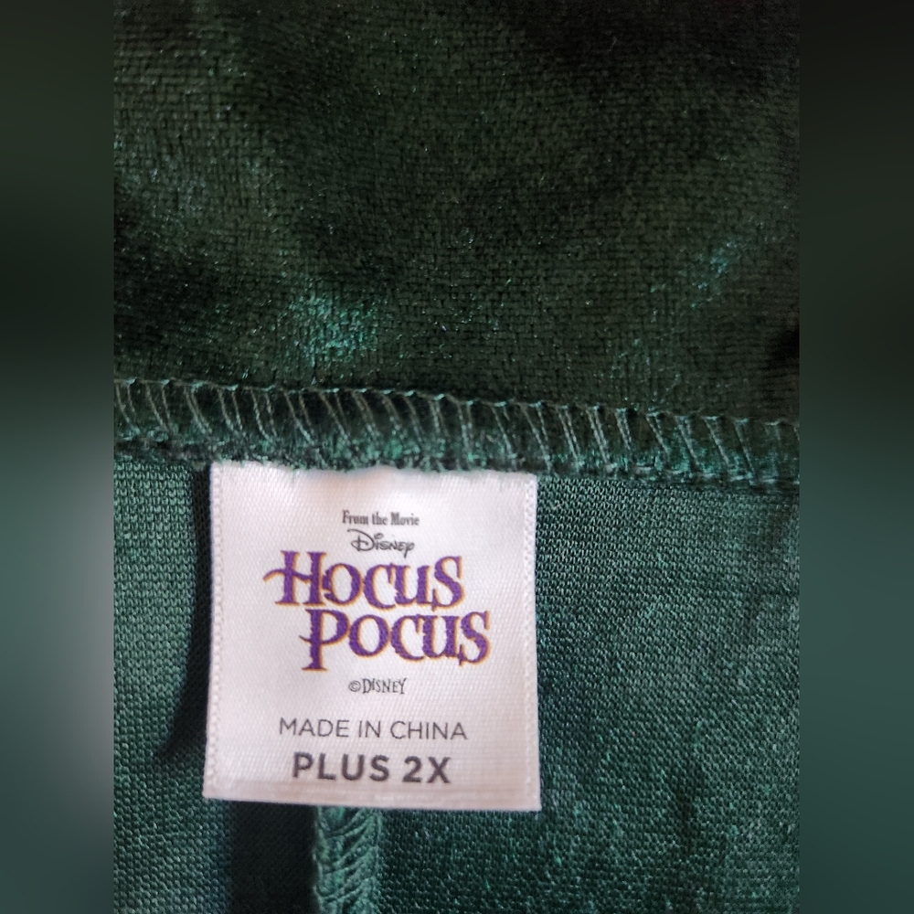 Disney Hocus Pocus Costume  2X Winnie Sanderson - Picture 9 of 12
